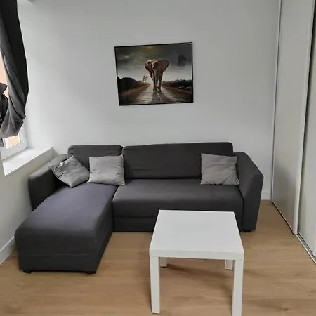 Appartement L'oasis Des Iris - T2 *