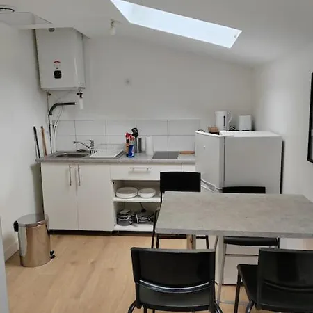 L'oasis Des Iris - T2 Villeurbanne